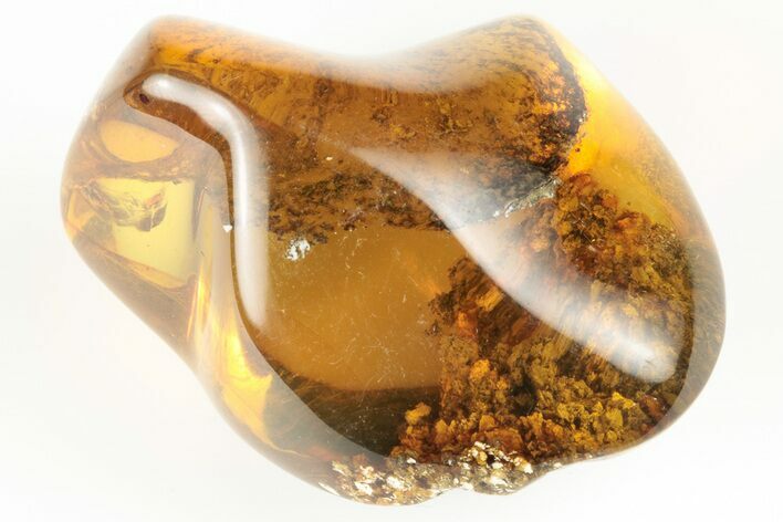 Polished Chiapas Amber ( grams) - Mexico #193276
